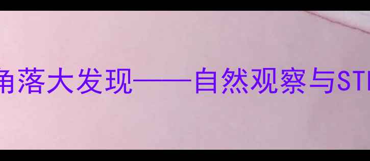图片 幼儿园科学活动：小角落大发现——自然观察与STEAM教育融合实践教案