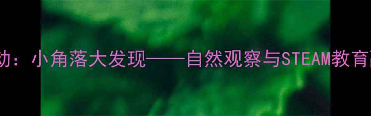 图片 幼儿园科学活动：小角落大发现——自然观察与STEAM教育融合实践教案1