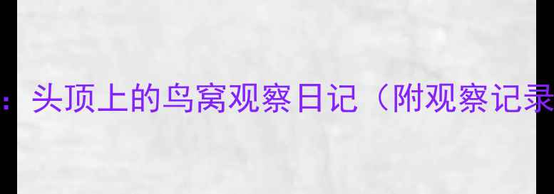 图片 幼儿园自然教育教案：头顶上的鸟窝观察日记（附观察记录表+亲子互动玩法）1