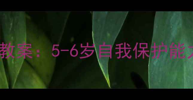 图片 幼儿安全防护教案：5-6岁自我保护能力培养全攻略2