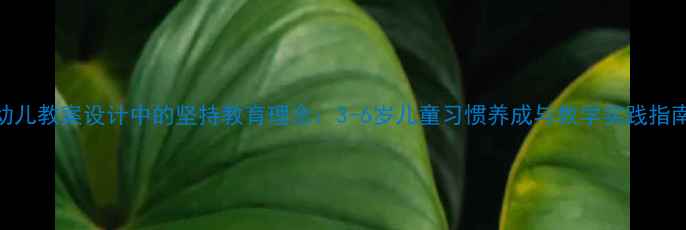图片 幼儿教案设计中的坚持教育理念：3-6岁儿童习惯养成与教学实践指南