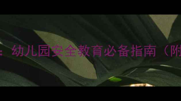 图片 幼儿防拐骗教案：幼儿园安全教育必备指南（附详细教学方案）