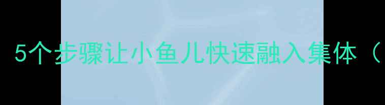 图片 托班新生欢迎教案：5个步骤让小鱼儿快速融入集体（附详细活动方案）1