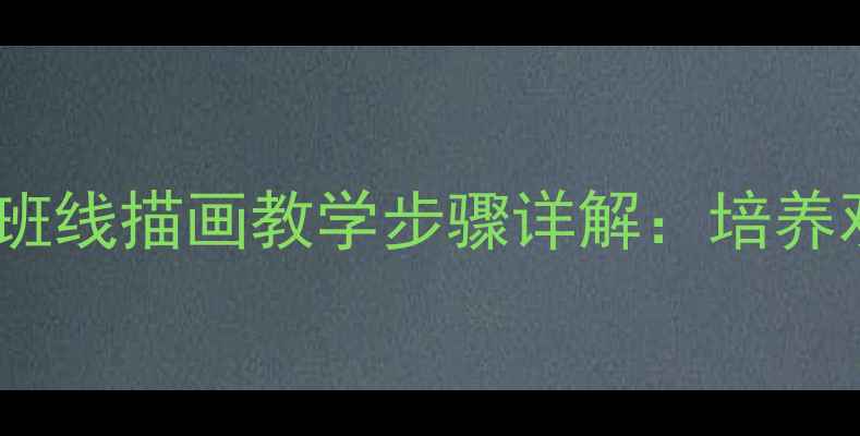 图片 教案模板幼儿中班线描画教学步骤详解：培养观察力与创造力1