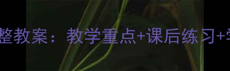 图片 新概念英语115课完整教案：教学重点+课后练习+学习技巧（附PPT）1