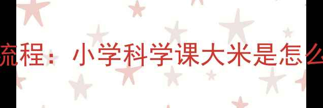 图片 水稻起源与种植全流程：小学科学课大米是怎么来的教案设计指南