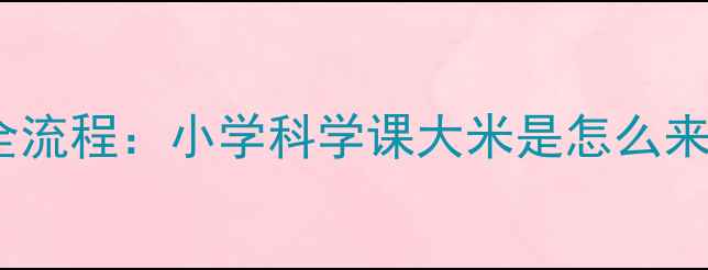 图片 水稻起源与种植全流程：小学科学课大米是怎么来的教案设计指南1
