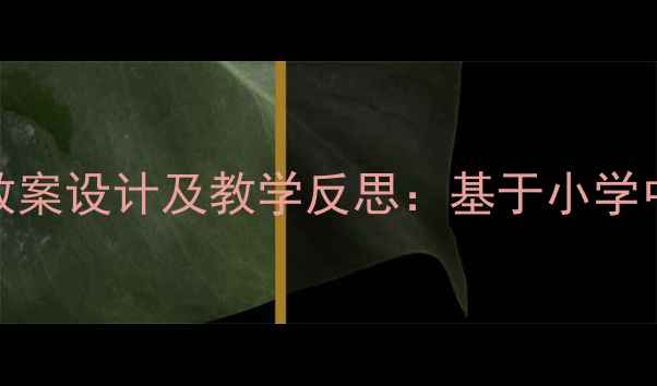 图片 沉与浮科学教案设计及教学反思：基于小学中年级的实践