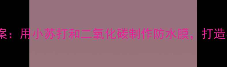 图片 烧不破的塑料袋科学教案：用小苏打和二氧化碳制作防水膜，打造小学科学课趣味实验课2