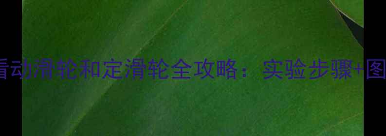 图片 物理教学必看动滑轮和定滑轮全攻略：实验步骤+图解+知识点🌟