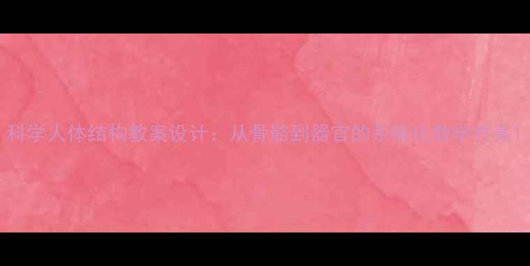 图片 科学人体结构教案设计：从骨骼到器官的系统化教学方案1