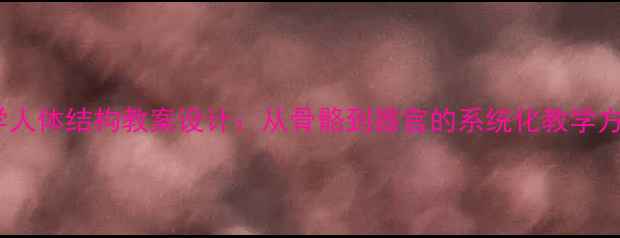 图片 科学人体结构教案设计：从骨骼到器官的系统化教学方案2