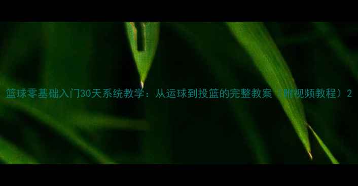 图片 篮球零基础入门30天系统教学：从运球到投篮的完整教案（附视频教程）2