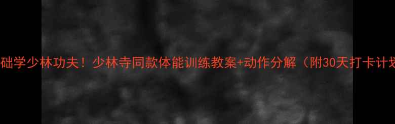 图片 零基础学少林功夫！少林寺同款体能训练教案+动作分解（附30天打卡计划）2