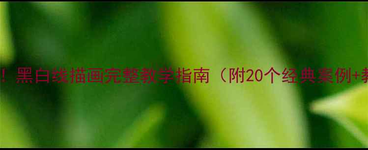 图片 零基础必看！黑白线描画完整教学指南（附20个经典案例+教学技巧）2