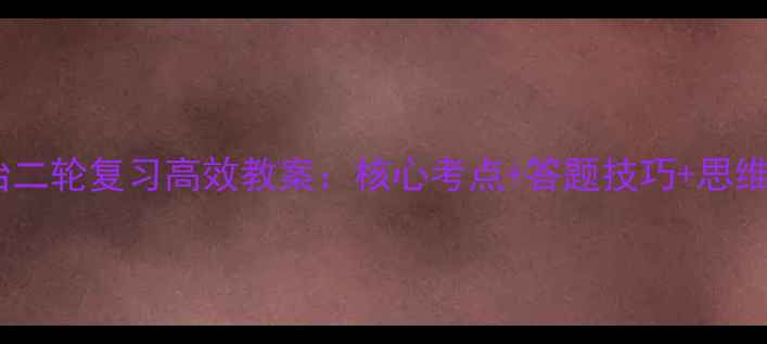 图片 高考政治二轮复习高效教案：核心考点+答题技巧+思维导图全1
