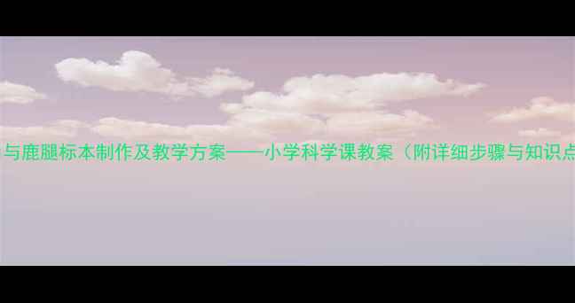 图片 鹿角与鹿腿标本制作及教学方案——小学科学课教案（附详细步骤与知识点）2