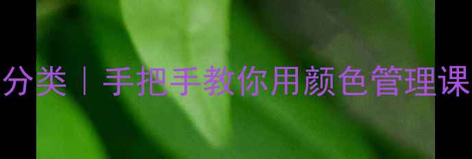 图片 🌈小班教案按颜色分类｜手把手教你用颜色管理课堂！附超全资源包