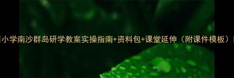 图片 🌊小学南沙群岛研学教案实操指南+资料包+课堂延伸（附课件模板）🌊