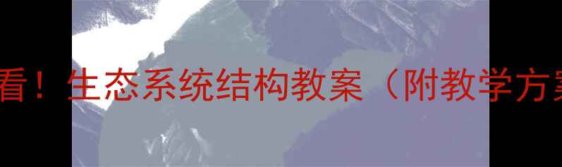 图片 🌍初中生物必看！生态系统结构教案（附教学方案+知识点）📚