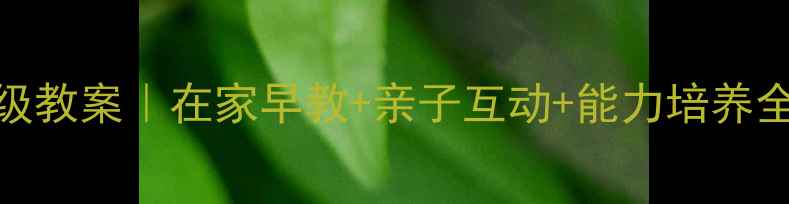 图片 🌟1-3岁宝宝早教保姆级教案｜在家早教+亲子互动+能力培养全攻略（附免费资源）1