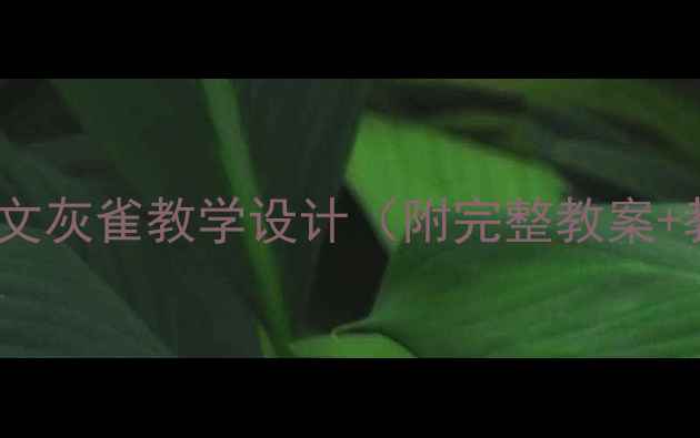 图片 🌟小学三年级语文灰雀教学设计（附完整教案+教学资源）📚✨1