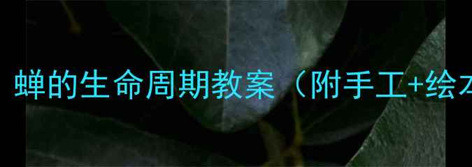 图片 🌟幼儿中班自然教育｜蝉的生命周期教案（附手工+绘本+观察日记模板）🎨1