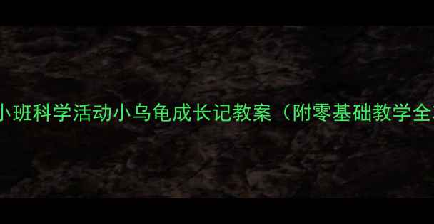 图片 🌟幼儿园小班科学活动小乌龟成长记教案（附零基础教学全攻略）✅2