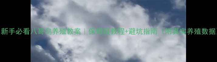 图片 🌟新手必看八哥鸟养殖教案｜保姆级教程+避坑指南（附真实养殖数据）