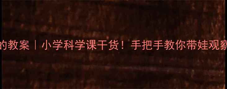 图片 🌧️雨是什么样子的教案｜小学科学课干货！手把手教你带娃观察雨滴的100种形态1