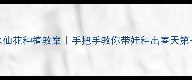 图片 🌱幼儿园水仙花种植教案｜手把手教你带娃种出春天第一抹绿意🌷