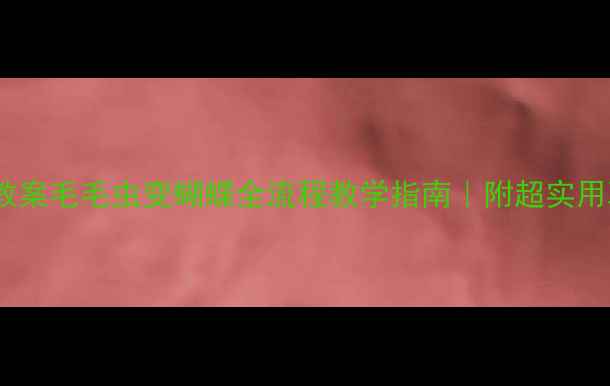 图片 🌱幼儿园科学教案毛毛虫变蝴蝶全流程教学指南｜附超实用观察记录表📝2