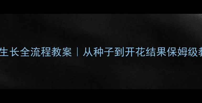 图片 🌱植物生长全流程教案｜从种子到开花结果保姆级教程🌼1
