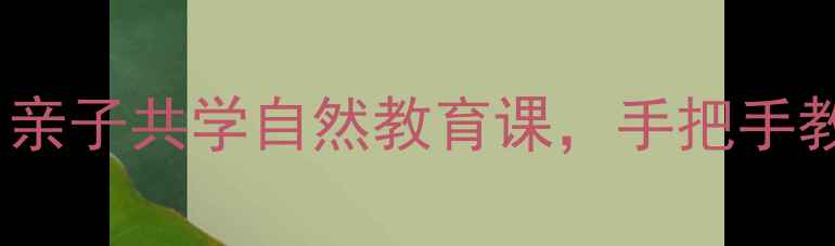 图片 🌱观察小蝌蚪全攻略｜亲子共学自然教育课，手把手教你打造沉浸式课堂！2