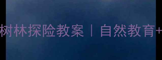 图片 🌳幼儿园中班夏天树林探险教案｜自然教育+户外活动全攻略🌞