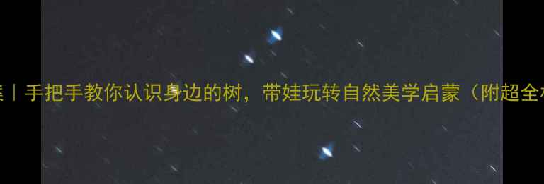 图片 🌳美术教案｜手把手教你认识身边的树，带娃玩转自然美学启蒙（附超全材料清单）