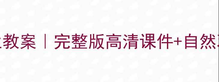 图片 🌸苏教版广玉兰教案｜完整版高清课件+自然观察活动设计🌸