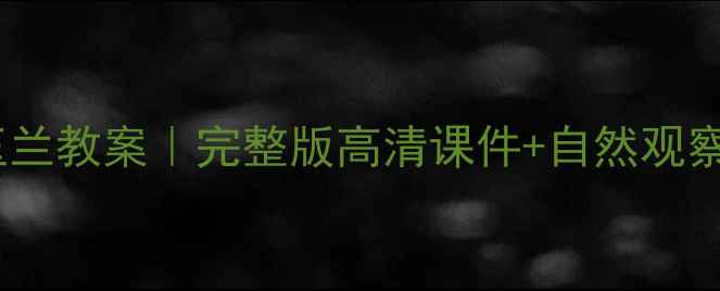 图片 🌸苏教版广玉兰教案｜完整版高清课件+自然观察活动设计🌸1