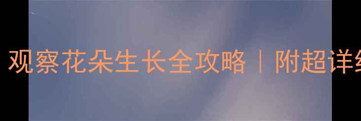 图片 🌼小班春天科学活动：观察花朵生长全攻略｜附超详细教案+自然教育干货2