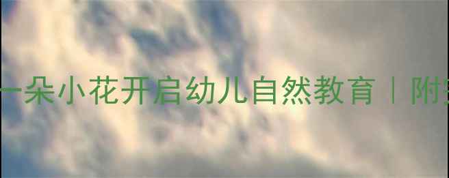 图片 🌼托班教案｜春天主题｜用一朵小花开启幼儿自然教育｜附完整活动方案（附资源包）1