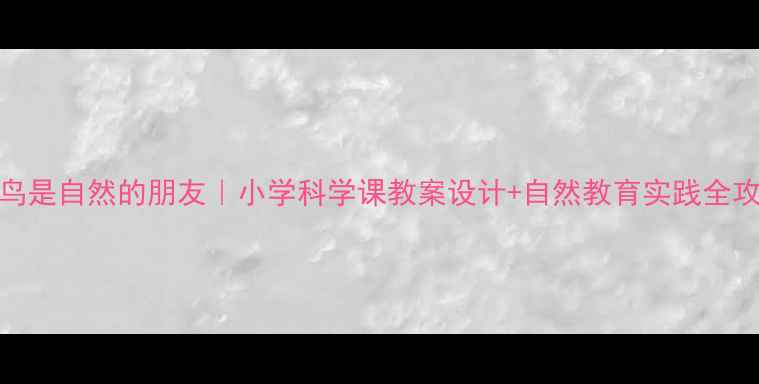 图片 🌿小鸟是自然的朋友｜小学科学课教案设计+自然教育实践全攻略🎒
