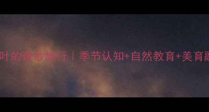 图片 🌿幼儿园中班教案小树叶的奇妙旅行｜季节认知+自然教育+美育融合｜附完整教学方案2