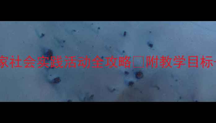 图片 🎯大班教案小小采购家社会实践活动全攻略✅附教学目标+材料清单+延伸活动1