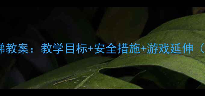 图片 🎯幼儿园玩滑梯教案：教学目标+安全措施+游戏延伸（附详细流程）1
