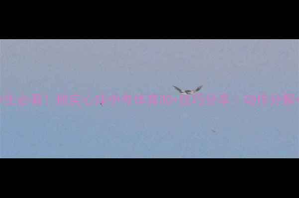 图片 🏃♀️初中生必看！抛实心球中考体育30+技巧分享｜动作分解+训练计划2