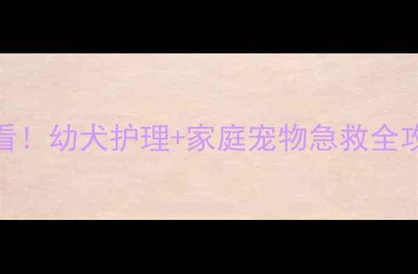 图片 🐾三只生病的小狗教案｜新手必看！幼犬护理+家庭宠物急救全攻略（附症状对照表+用药指南）1