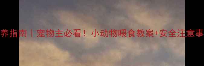 图片 🐾幼崽喂养指南｜宠物主必看！小动物喂食教案+安全注意事项全攻略