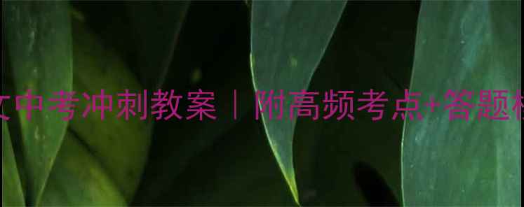 图片 📚九年级下册语文中考冲刺教案｜附高频考点+答题模板+逆袭攻略🔥2