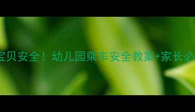 图片 📚守护宝贝安全！幼儿园乘车安全教案+家长必看指南2