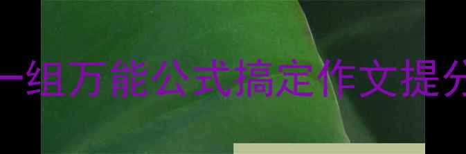 图片 📚小学语文人物描写教案一组万能公式搞定作文提分秘籍✨（附课件+范文）2